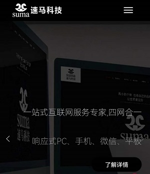 手機網(wǎng)站logo圖所展示的位置